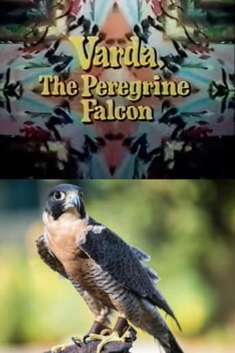 Poster of Varda, the Peregrine Falcon