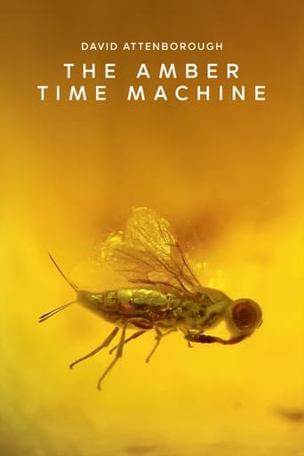 Poster of The Amber Time Machine