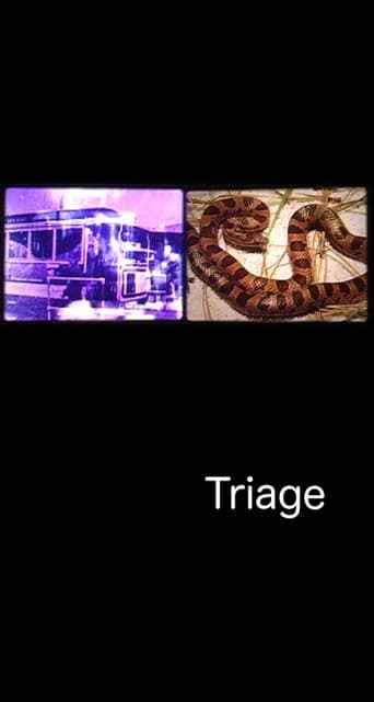 Poster of Triage