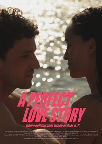 Poster of A Perfect Love Story Where Nothing Goes Wrong or Does It…?