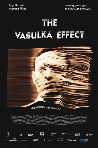 Poster of The Vasulka Effect