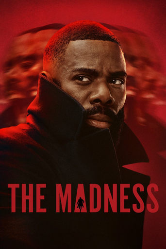 Poster of The Madness