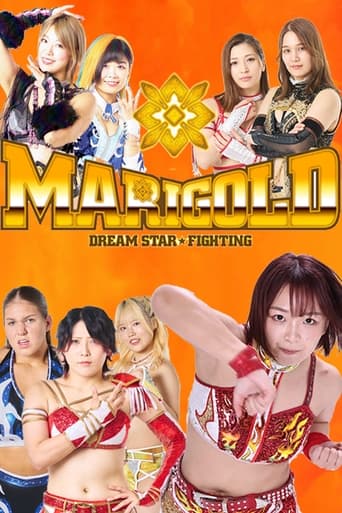 Poster of Dream Star Fighting MARIGOLD