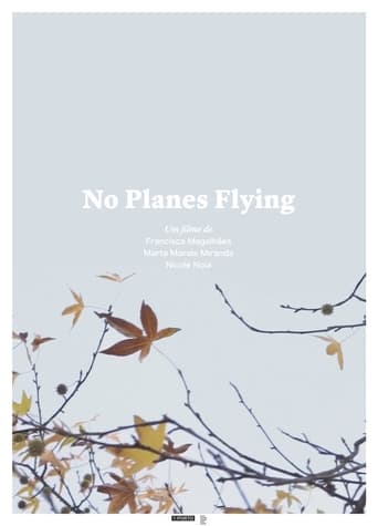 Poster of No Planes Flying