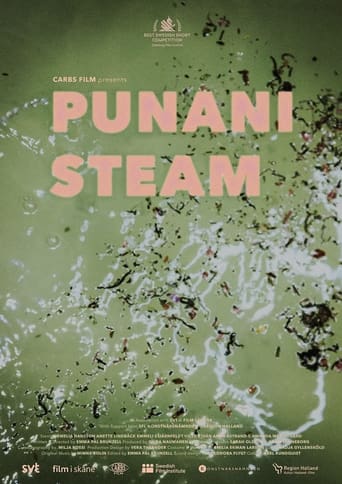 Poster of Punani Steam