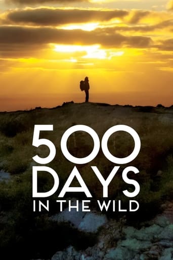 Poster of 500 Days in the Wild