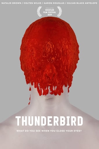 Poster of Thunderbird