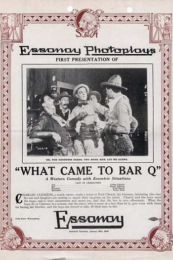 Poster of What Came to Bar Q