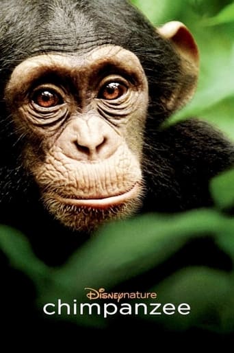 Poster of Chimpanzee