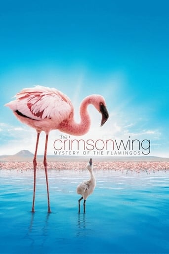 Poster of The Crimson Wing: Mystery of the Flamingos