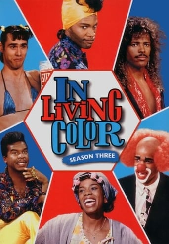 Portrait for In Living Color - Season 3