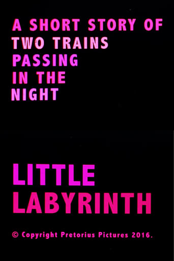 Poster of Little Labyrinth