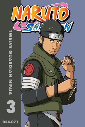 Portrait for Naruto Shippūden - S3 • Twelve Guardian Ninja