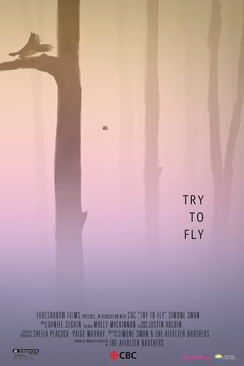 Poster of Try to Fly