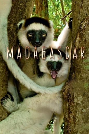 Poster of Madagascar