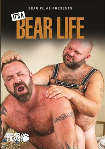 Poster of It's a Bear Life