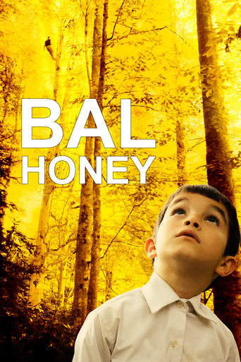 Poster of Honey