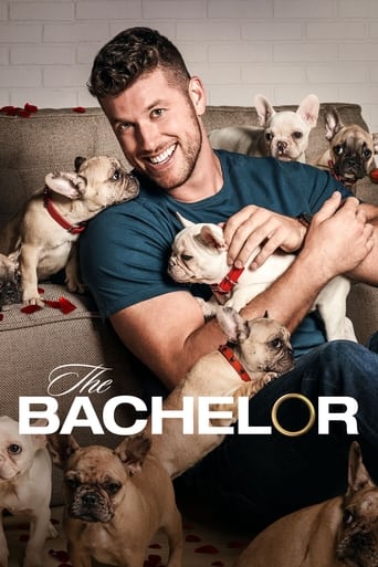 Portrait for The Bachelor - Season 26