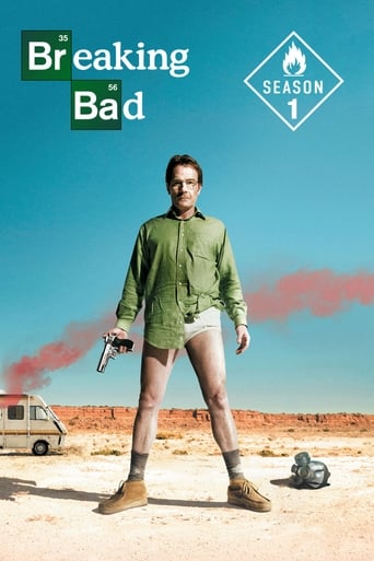 Portrait for Breaking Bad - Season 1