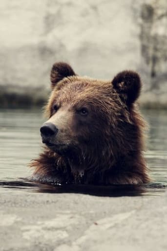 Poster of Seul au milieu des ours