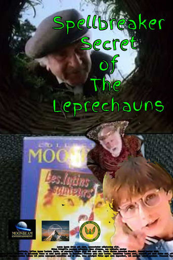 Poster of Spellbreaker: Secret of the Leprechauns