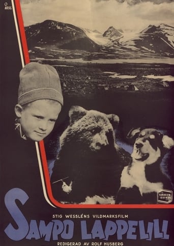 Poster of Sampo Lappelill