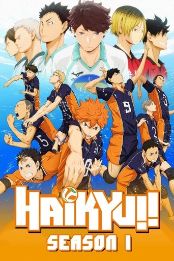 Portrait for Haikyu!! - Season 1