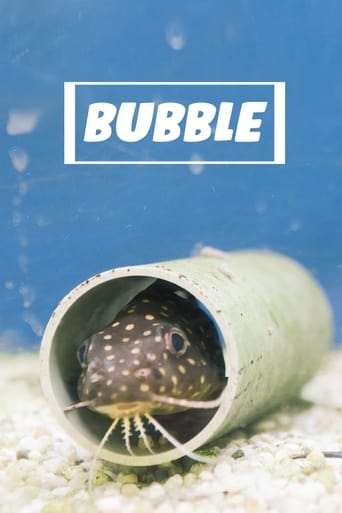 Poster of Bubble