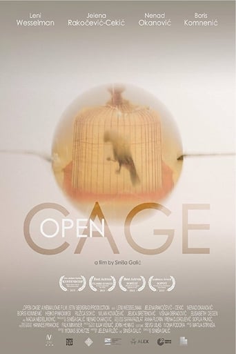 Poster of Open Cage