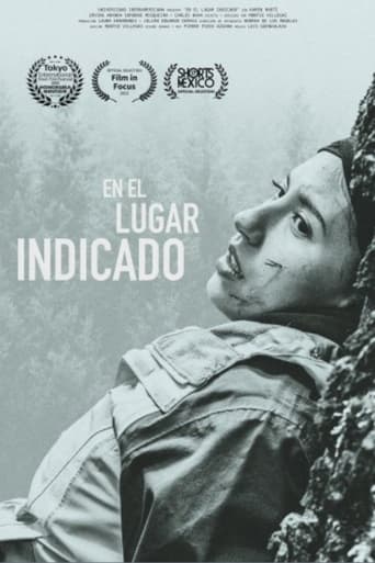 Poster of En el lugar indicado