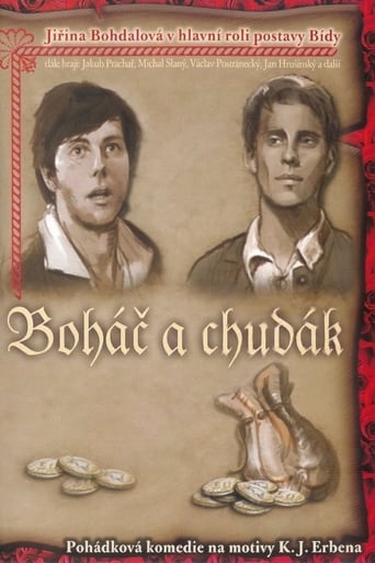 Poster of Boháč a chudák