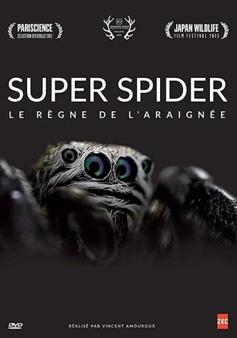 Poster of Super Spider