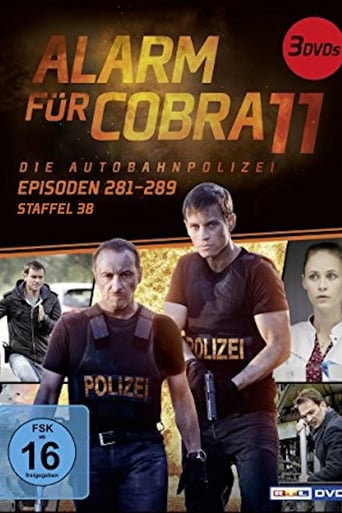 Portrait for Alarm for Cobra 11: The Motorway Police - Season 38