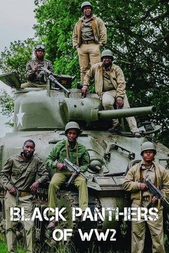 Poster of The Black Panthers of WW2