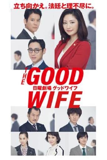 Portrait for The Good Wife - Season 1