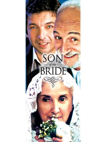 Poster of Son of the Bride