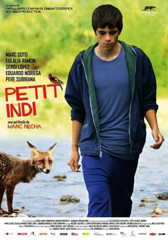 Poster of Little Indi