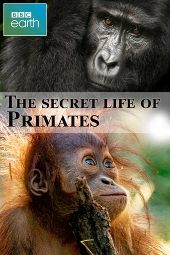 Poster of The secret life of Primates