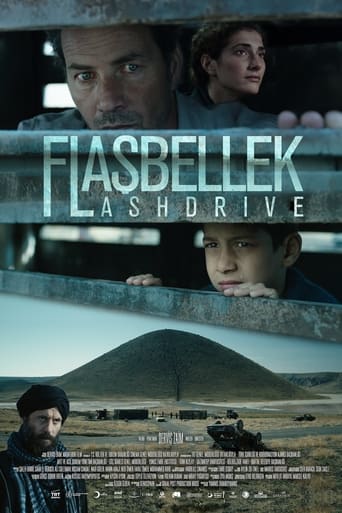 Poster of Flashdrive