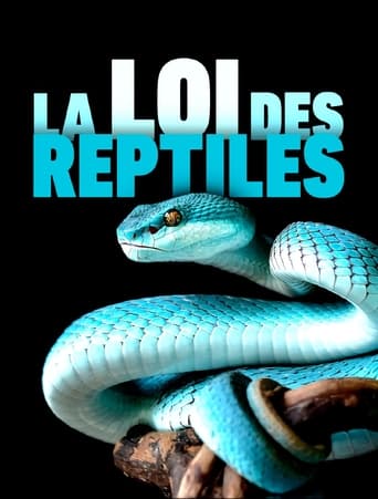 Poster of The Law of Reptiles