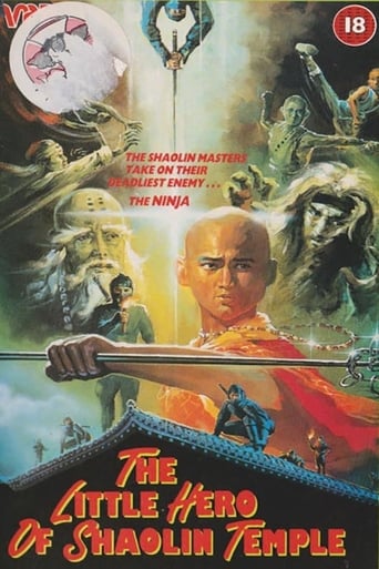 Poster of The Little Hero of Shaolin Temple