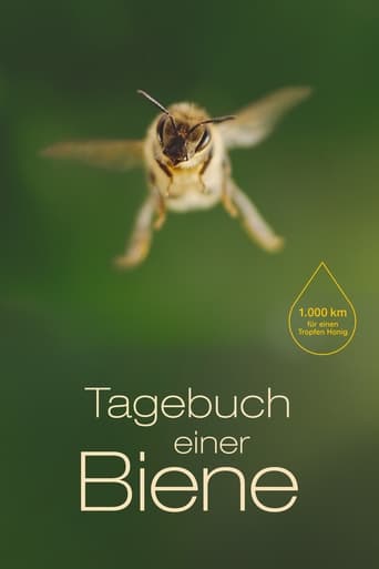 Poster of Diary of a Bee