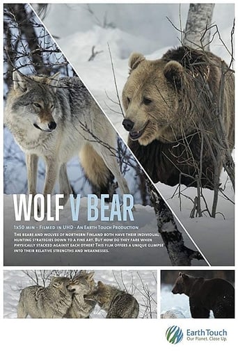 Poster of Wolf vs Bear