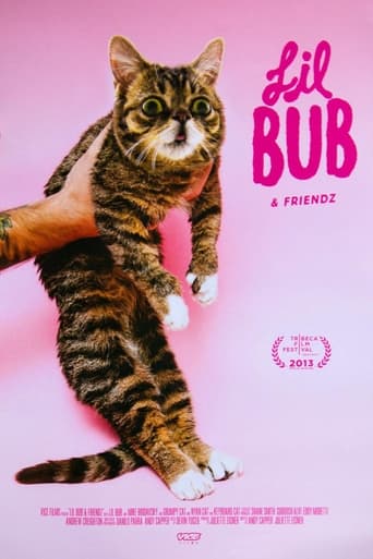 Poster of Lil Bub & Friendz