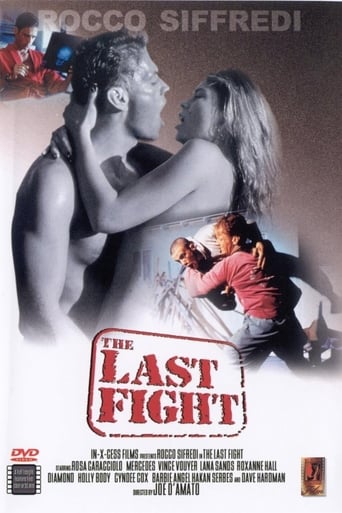 Poster of The Last Fight