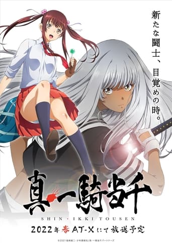 Portrait for Shin Ikki Tousen - Season 1