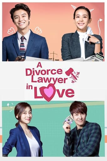 Portrait for Divorce Lawyer in Love - Season 1