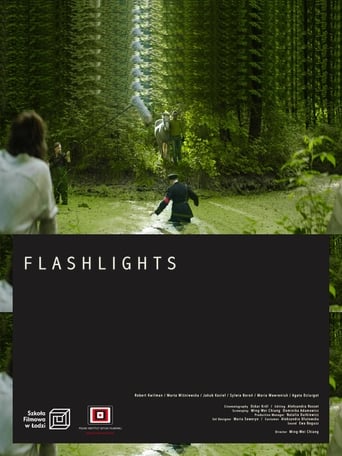 Poster of Flashlights