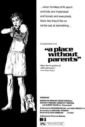 Poster of A Place Without Parents