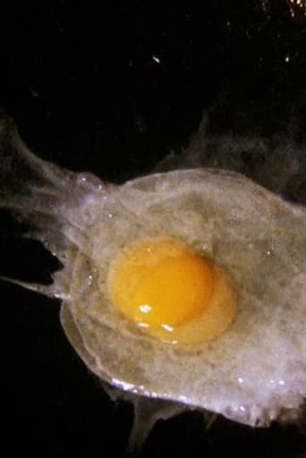 Poster of Fried Egg